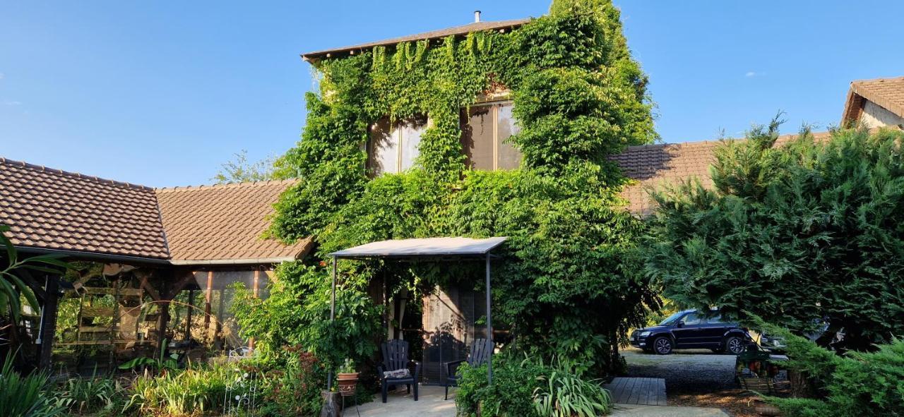 Les Grands Bois Villa Saint-Épain Exterior foto
